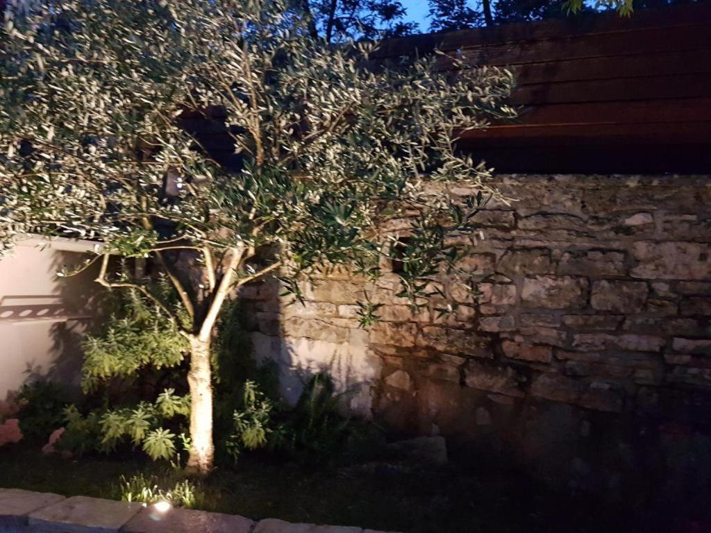 הוילה Brajkovici  Haus Delma מראה חיצוני תמונה